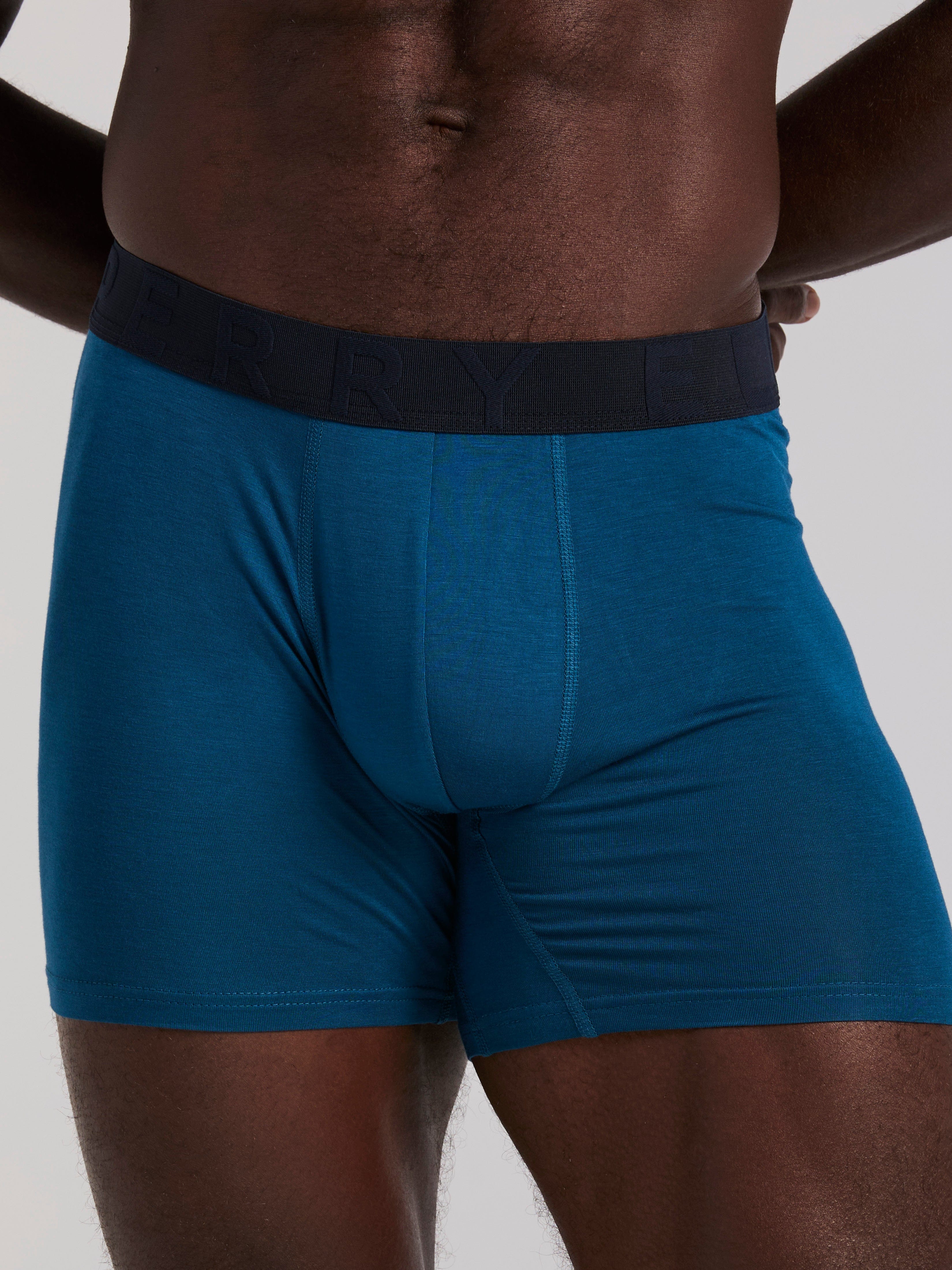 4-Pack Viscose Stretch Classic Boxer Brief - Image 12
