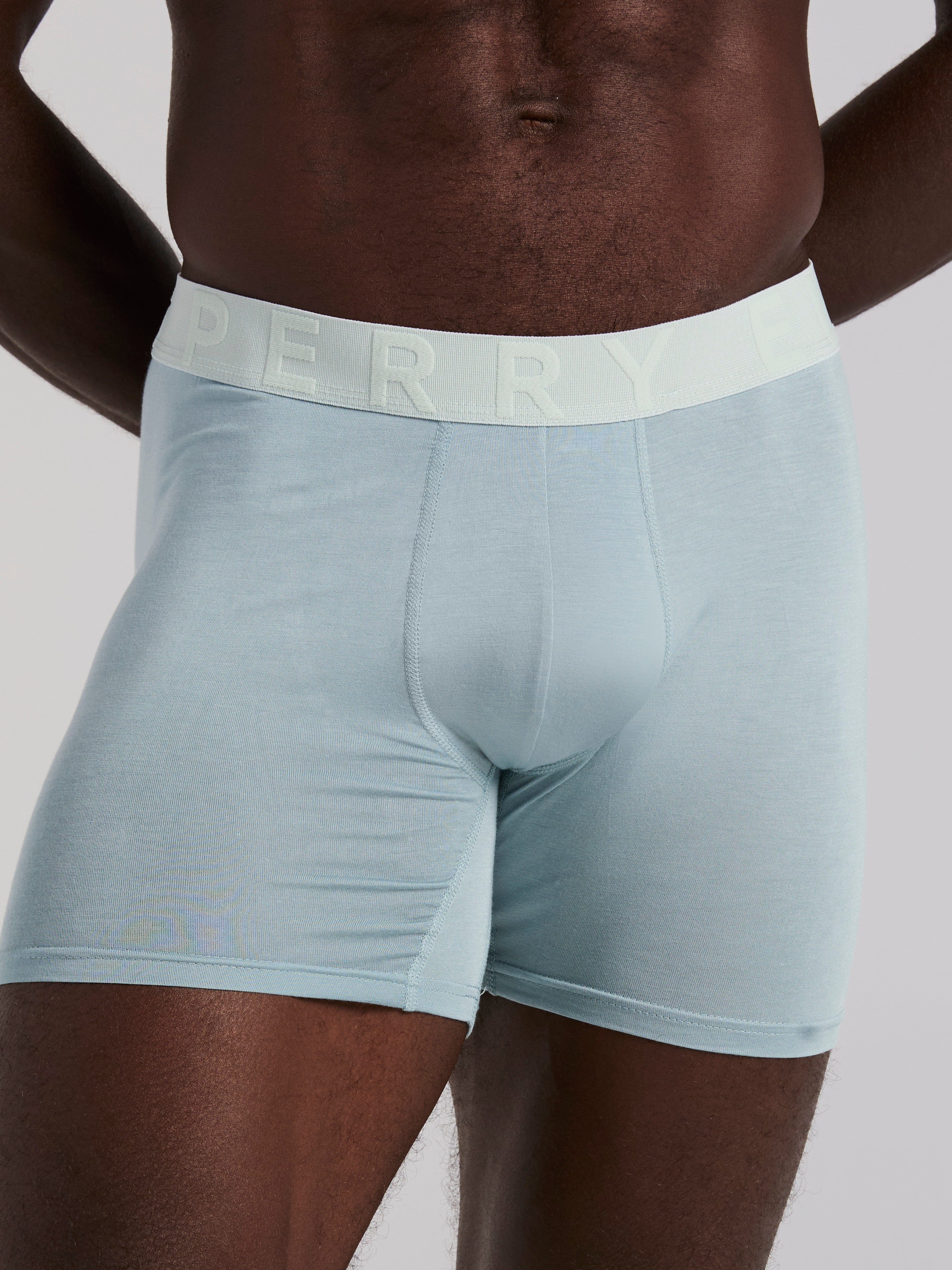 4-Pack Viscose Stretch Classic Boxer Brief - Image 6